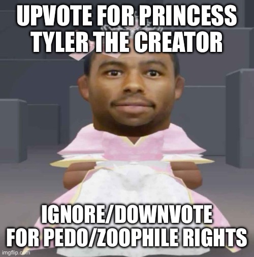 UPVOTE FOR PRINCESS TYLER THE CREATOR; IGNORE/DOWNVOTE FOR PEDO/ZOOPHILE RIGHTS | image tagged in what the fish | made w/ Imgflip meme maker