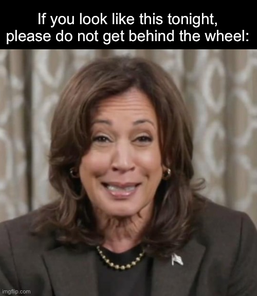 Don’t drink and drive | If you look like this tonight, please do not get behind the wheel: | image tagged in politics lol,memes | made w/ Imgflip meme maker