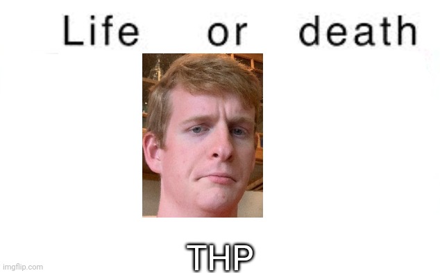 Life or death | THP | image tagged in life or death,msmg,memes | made w/ Imgflip meme maker