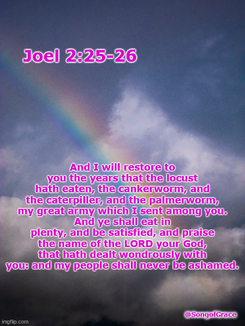 Joel 2:25-26 | Joel 2:25-26; And I will restore to you the years that the locust hath eaten, the cankerworm, and the caterpiller, and the palmerworm, my great army which I sent among you.
And ye shall eat in plenty, and be satisfied, and praise the name of the LORD your God, that hath dealt wondrously with you: and my people shall never be ashamed. @SongofGrace | image tagged in biblical encouragement | made w/ Imgflip meme maker