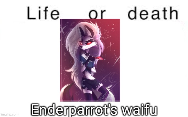 Spam death and send this to Enderparrot | Enderparrot's waifu | image tagged in life or death,msmg,memes | made w/ Imgflip meme maker