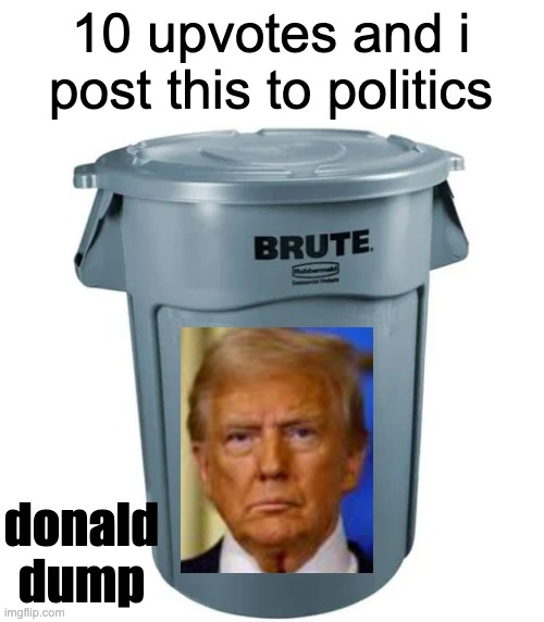 10 upvotes and i post this to politics; donald dump | made w/ Imgflip meme maker