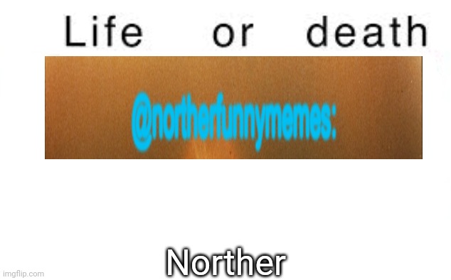 Life or death | Norther | image tagged in life or death,msmg,memes | made w/ Imgflip meme maker