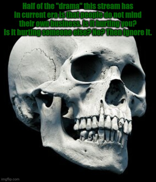 Skull | Half of the "drama" this stream has in current era is that people do not mind their own business. Is it hurting you? Is it hurting someone else? No? Then ignore it. | image tagged in skull | made w/ Imgflip meme maker