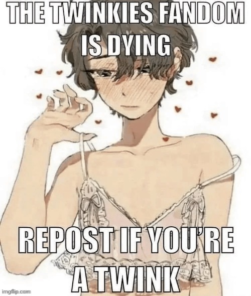 Repost if you're a twink | image tagged in repost if you're a twink | made w/ Imgflip meme maker