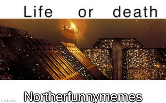 Life or death | Northerfunnymemes | image tagged in life or death | made w/ Imgflip meme maker