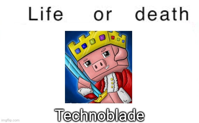 Life or death | Technoblade | image tagged in life or death | made w/ Imgflip meme maker