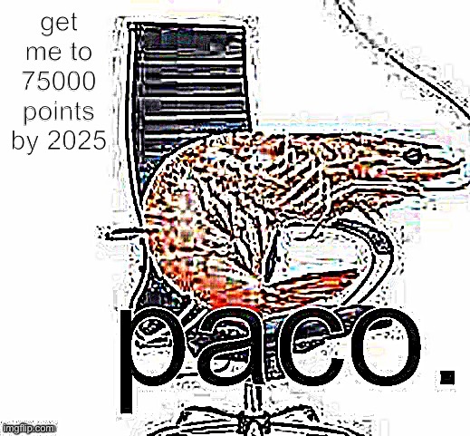 paco | get me to 75000 points by 2025 | image tagged in paco | made w/ Imgflip meme maker