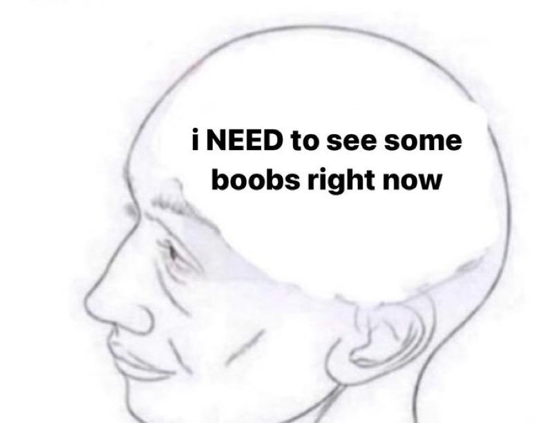 Boobies Blank Meme Template