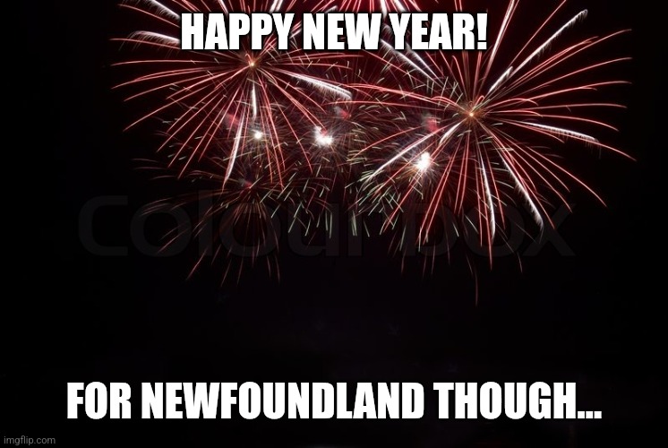 Happy New Year | HAPPY NEW YEAR! FOR NEWFOUNDLAND THOUGH… | image tagged in happy new year | made w/ Imgflip meme maker