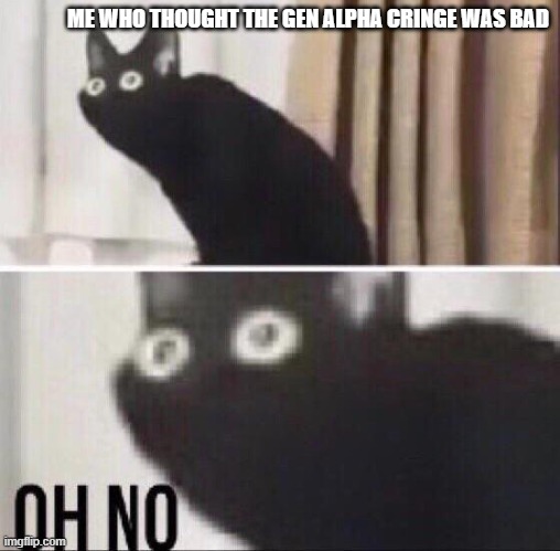 Oh no cat | ME WHO THOUGHT THE GEN ALPHA CRINGE WAS BAD | image tagged in oh no cat | made w/ Imgflip meme maker