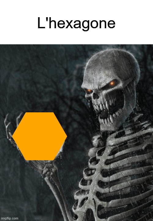 . | L'hexagone | image tagged in skeleton holding nothing | made w/ Imgflip meme maker