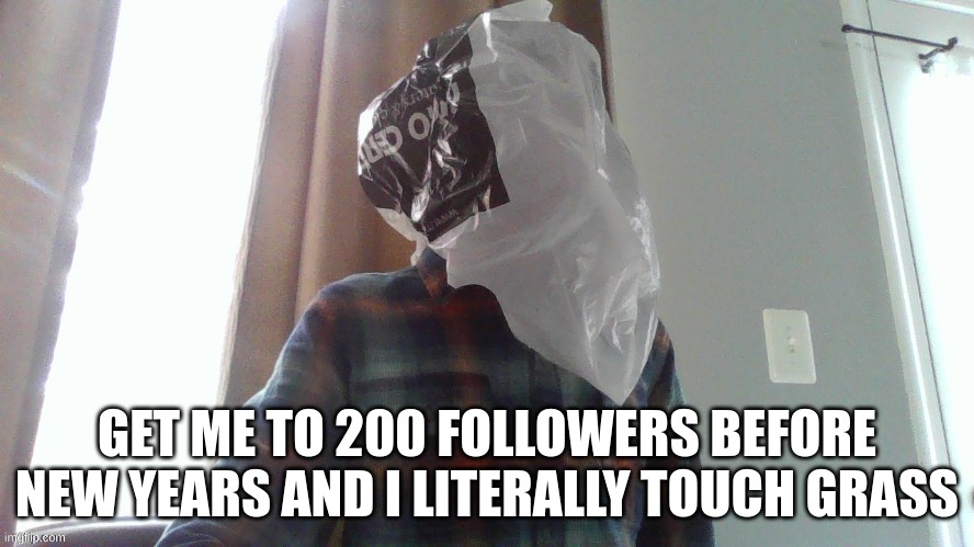 dumbass fucking bag photo | GET ME TO 200 FOLLOWERS BEFORE NEW YEARS AND I LITERALLY TOUCH GRASS | image tagged in dumbass fucking bag photo | made w/ Imgflip meme maker