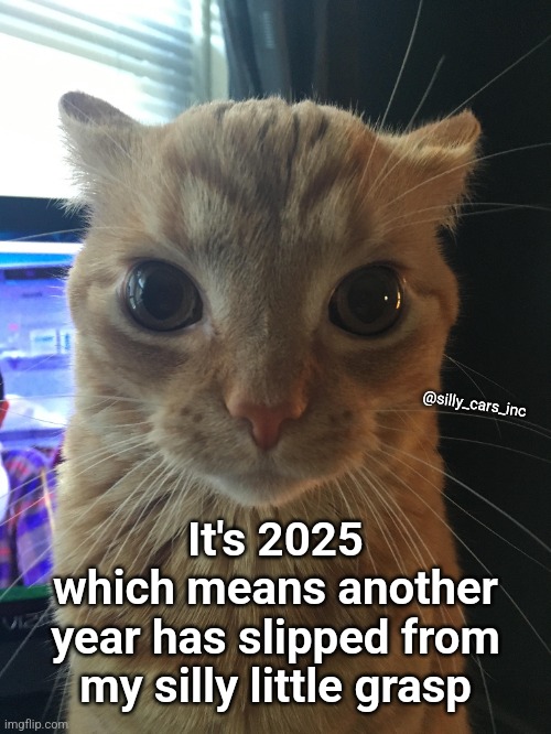 New Years Cat | @silly_cars_inc; It's 2025
which means another
year has slipped from
my silly little grasp | image tagged in cat,cats,new years,new years eve,2025,happy new years | made w/ Imgflip meme maker