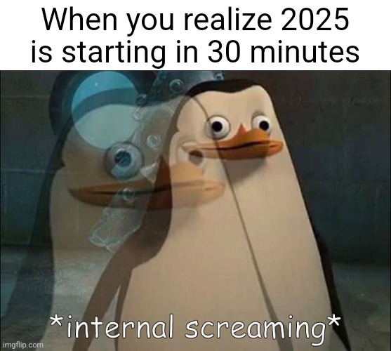 Happy New Year | When you realize 2025 is starting in 30 minutes | image tagged in private internal screaming | made w/ Imgflip meme maker