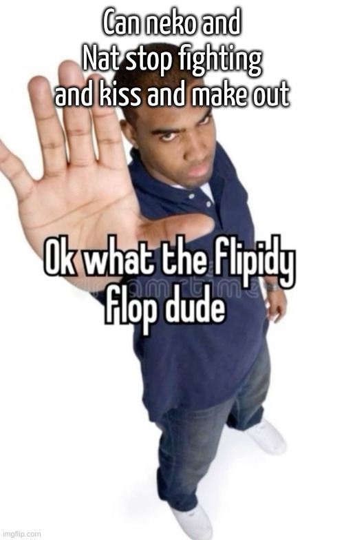 Ok what the flipity flop dude | Can neko and Nat stop fighting and kiss and make out | image tagged in ok what the flipity flop dude | made w/ Imgflip meme maker