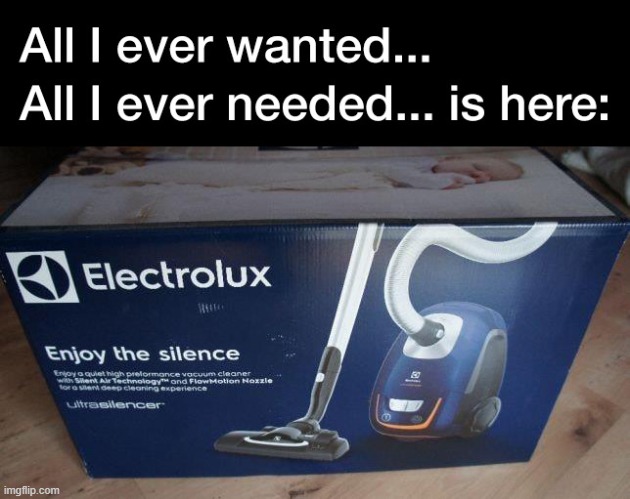 Silent Vacuum | image tagged in silent vacuum | made w/ Imgflip meme maker