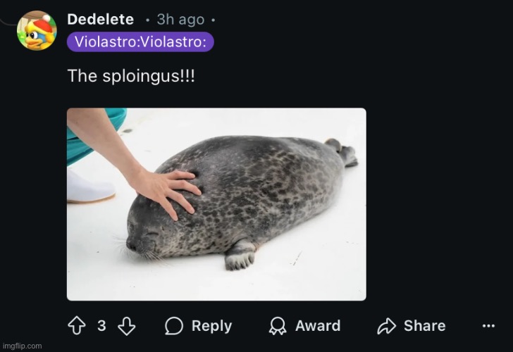 No dramna, only sploingus | made w/ Imgflip meme maker