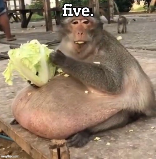 Fat monkey | five. | image tagged in fat monkey,2025 | made w/ Imgflip meme maker