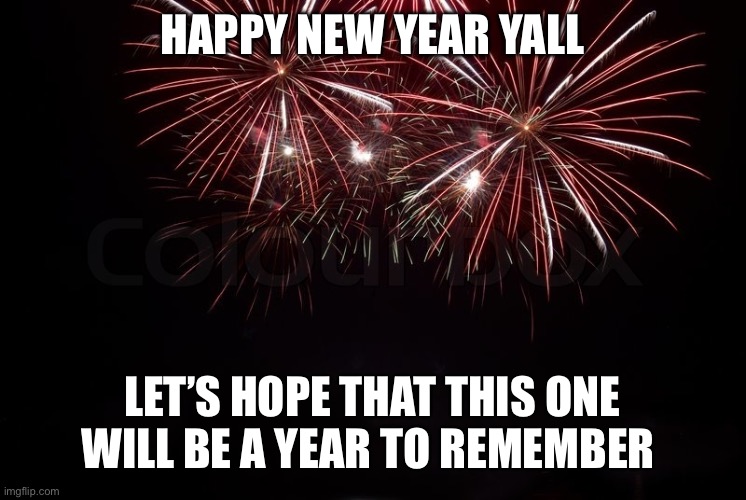 Happy New Year | HAPPY NEW YEAR YALL; LET’S HOPE THAT THIS ONE WILL BE A YEAR TO REMEMBER | image tagged in happy new year | made w/ Imgflip meme maker