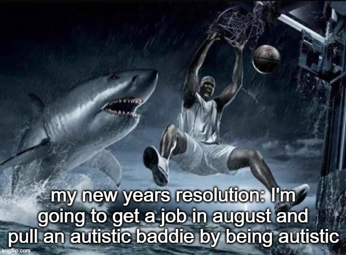 legendary slam dunk | my new years resolution: I'm going to get a job in august and pull an autistic baddie by being autistic | image tagged in legendary slam dunk | made w/ Imgflip meme maker