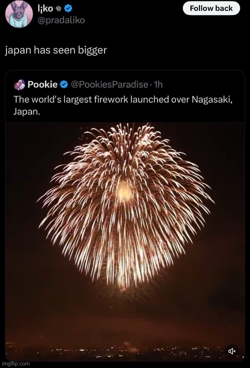 goddamnit Nagasaki :skull: | image tagged in meanwhile in japan,fireworks | made w/ Imgflip meme maker