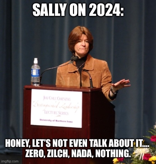 Sally’s 2024 | SALLY ON 2024:; HONEY, LET’S NOT EVEN TALK ABOUT IT…. 

ZERO, ZILCH, NADA, NOTHING. | image tagged in nasa,astronaut,space,happy new year,new years eve,space shuttle | made w/ Imgflip meme maker