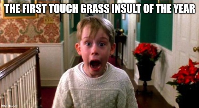 Kevin Home Alone | THE FIRST TOUCH GRASS INSULT OF THE YEAR | image tagged in kevin home alone | made w/ Imgflip meme maker