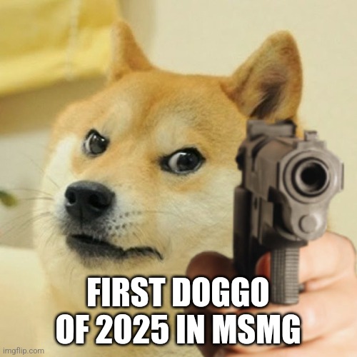 Doge holding a gun | FIRST DOGGO OF 2025 IN MSMG | image tagged in doge holding a gun | made w/ Imgflip meme maker