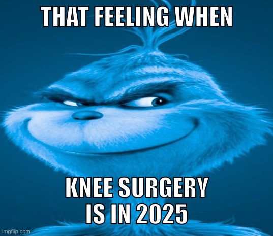 First knee surgery of 2025 | THAT FEELING WHEN; KNEE SURGERY IS IN 2025 | image tagged in blue grinch | made w/ Imgflip meme maker