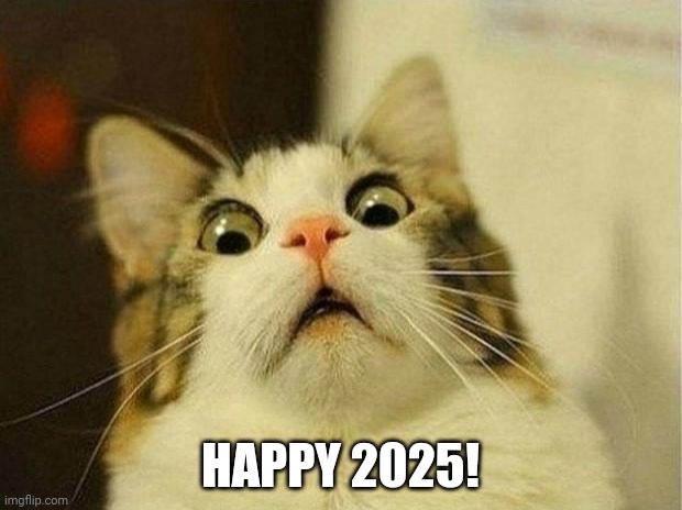 Scared Cat | HAPPY 2025! | image tagged in memes,scared cat | made w/ Imgflip meme maker