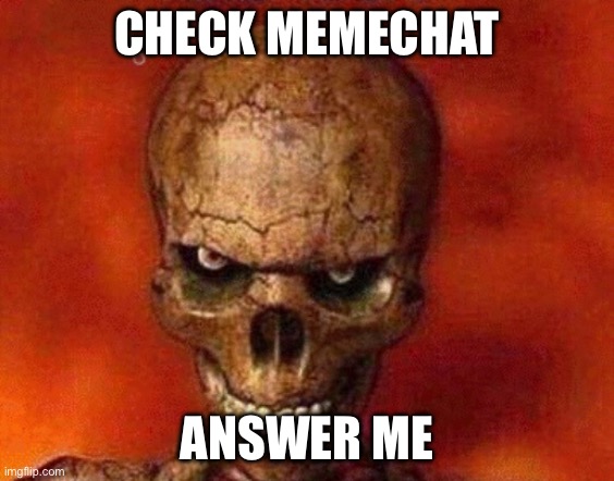 sketelon | CHECK MEMECHAT ANSWER ME | image tagged in sketelon | made w/ Imgflip meme maker