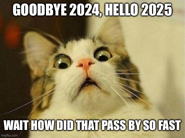 2024!? No, 2025! | GOODBYE 2024, HELLO 2025; WAIT HOW DID THAT PASS BY SO FAST | image tagged in memes,scared cat,2025,2024,fast | made w/ Imgflip meme maker