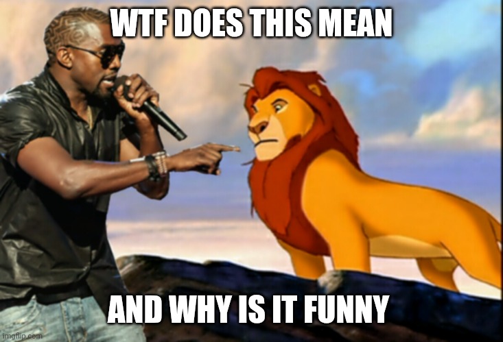 Kanye West Lion King | WTF DOES THIS MEAN; AND WHY IS IT FUNNY | image tagged in kanye west lion king | made w/ Imgflip meme maker
