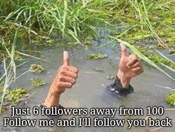 Just say so in the comments | Just 6 followers away from 100
Follow me and I'll follow you back | image tagged in flooding thumbs up | made w/ Imgflip meme maker