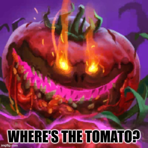 Tomatl the Wicked | WHERE'S THE TOMATO? | image tagged in tomatl the wicked | made w/ Imgflip meme maker