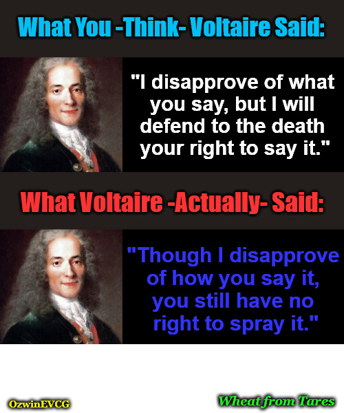 Wheat from Tares | What You -Think- Voltaire Said:; "I disapprove of what 

you say, but I will 

defend to the death 

your right to say it."; What Voltaire -Actually- Said:; "Though I disapprove 

of how you say it, 

you still have no 

right to spray it."; Wheat from Tares; OzwinEVCG | image tagged in voltaire,famous quotes,real talk,correcting the record,you don't say,smoking-hot rhyme-schemes | made w/ Imgflip meme maker