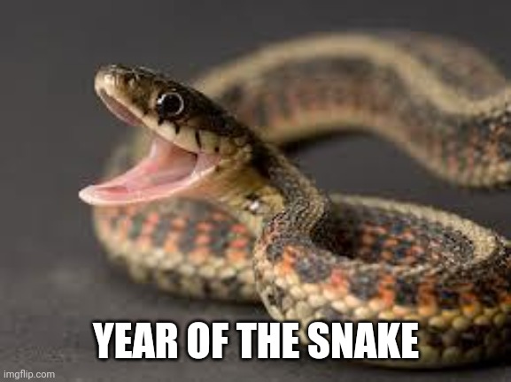 Warning Snake | YEAR OF THE SNAKE | image tagged in warning snake | made w/ Imgflip meme maker