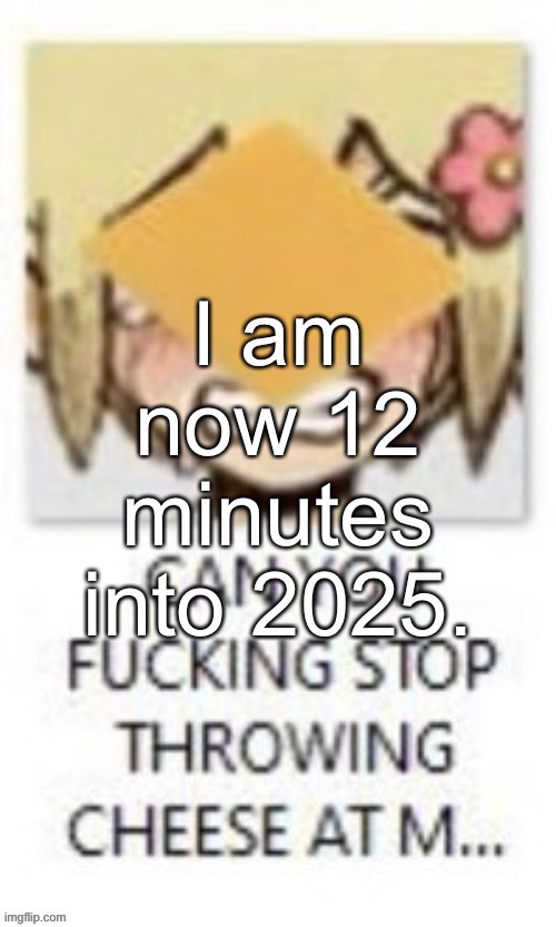 I am now 12 minutes into 2025. | made w/ Imgflip meme maker