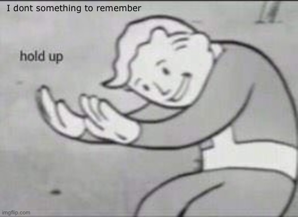 Fallout Hold Up | I dont something to remember | image tagged in fallout hold up | made w/ Imgflip meme maker