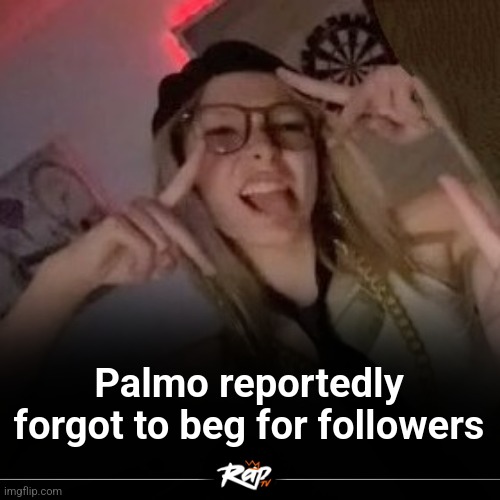 pls follow | Palmo reportedly forgot to beg for followers | made w/ Imgflip meme maker