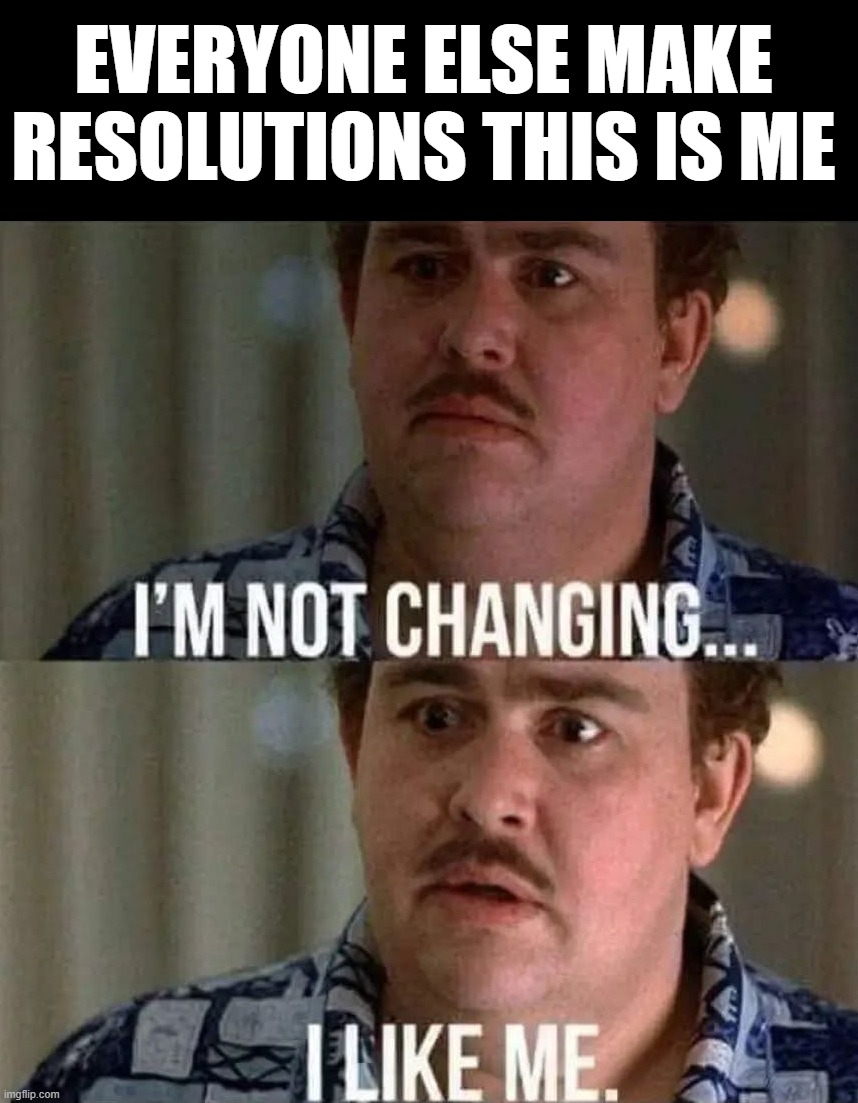 EVERYONE ELSE MAKE RESOLUTIONS THIS IS ME | image tagged in happy new year | made w/ Imgflip meme maker