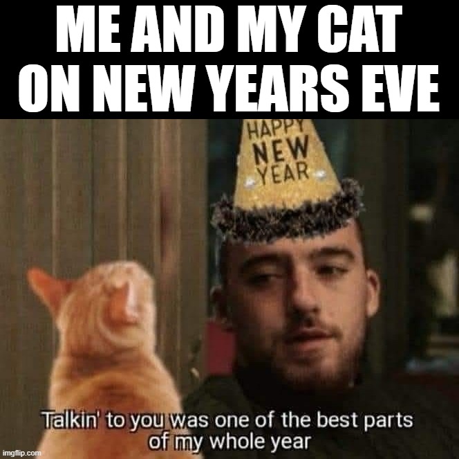 ME AND MY CAT ON NEW YEARS EVE | image tagged in cats | made w/ Imgflip meme maker