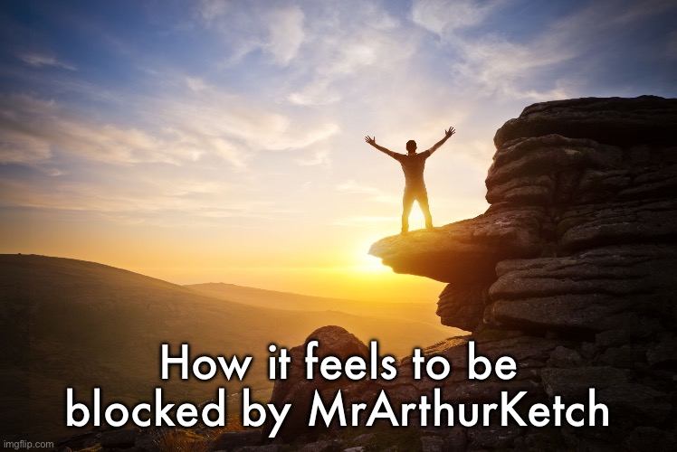 Outro by M83 vibe | How it feels to be blocked by MrArthurKetch | image tagged in freedom | made w/ Imgflip meme maker