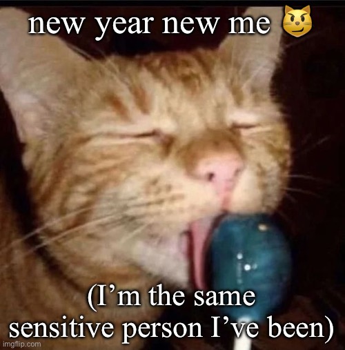 silly goober 2 | new year new me 😼; (I’m the same sensitive person I’ve been) | image tagged in silly goober 2 | made w/ Imgflip meme maker