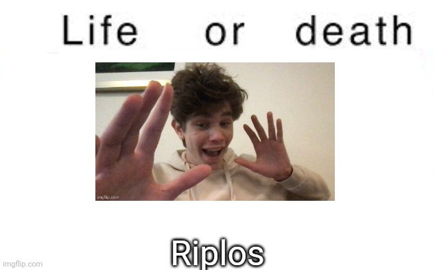 Life or death | Riplos | image tagged in life or death,msmg,memes | made w/ Imgflip meme maker