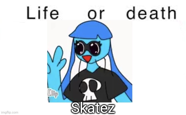 Life or death | Skatez | image tagged in life or death,msmg,memes | made w/ Imgflip meme maker
