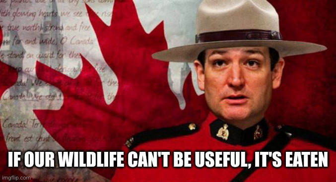 Ted Cruz Mountie | IF OUR WILDLIFE CAN'T BE USEFUL, IT'S EATEN | image tagged in ted cruz mountie | made w/ Imgflip meme maker