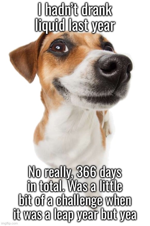 jack russell | I hadn’t drank liquid last year; No really, 366 days in total. Was a little bit of a challenge when it was a leap year but yea | image tagged in jack russell | made w/ Imgflip meme maker