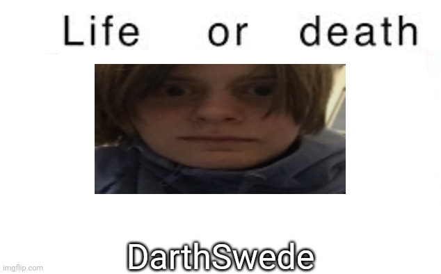 Life or death | DarthSwede | image tagged in life or death,msmg,memes | made w/ Imgflip meme maker